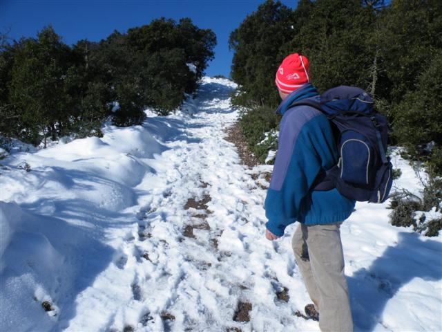 coma den vila pujada nevada small